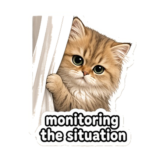 Zhumi — monitoring the situation sticker